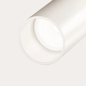 Deckenleuchte – Weißes Aluminium, 10 W GU10, Verstellbarer Spot, Höhe 28 cm - Elti | Maytoni