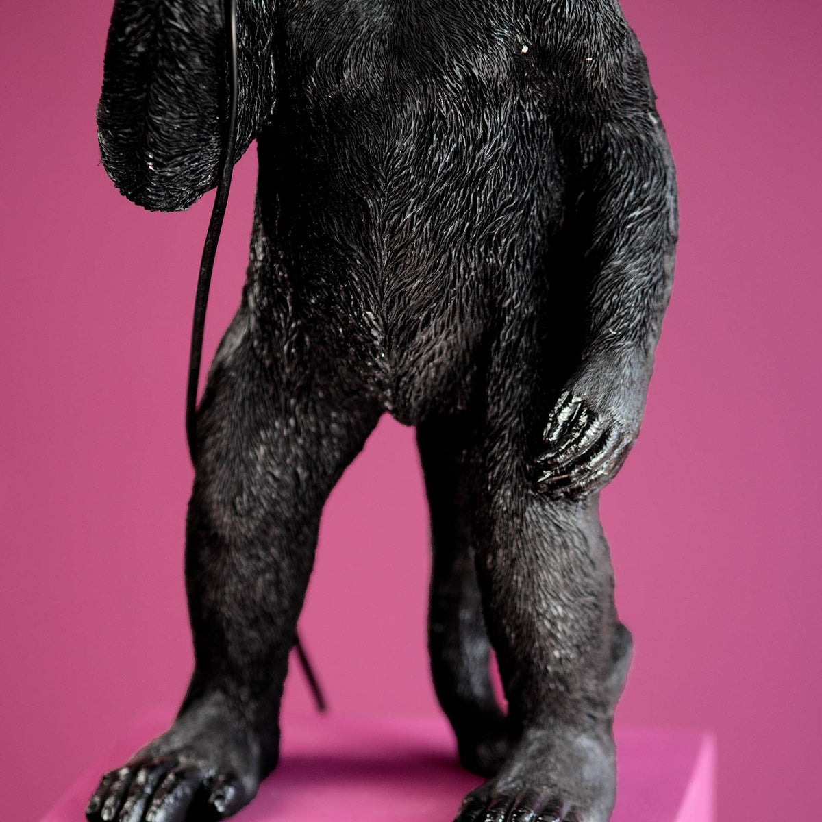 Floor Lamp – Sculptural Design, Playful Animal Motif, Polyresin Construction, Black Finish – Koko | WERNS