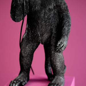 Floor Lamp – Sculptural Design, Playful Animal Motif, Polyresin Construction, Black Finish – Koko | WERNS
