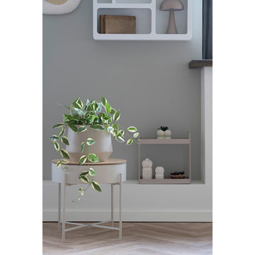 Beistelltisch – Beige Stahl, Naturfarbene Tischplatte, 40 cm Höhe - Sisco | House Nordic