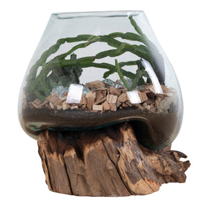 Waterdrop - TNaturholz, Glasbehälter, 20 cm Höhe - San Marino | House Nordic