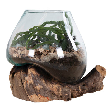 Waterdrop - TNaturholz, Glasbehälter, 20 cm Höhe - San Marino | House Nordic