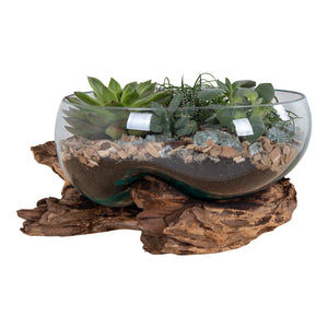 Waterdrop - Natur Teakholz, Glaskuppel, 20 cm Höhe - San Marino Waterdrop | House Nordic