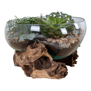 Waterdrop - Natur Teakholz, Glaskuppel, 20 cm Höhe - San Marino Waterdrop | House Nordic