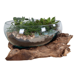 Waterdrop - Natur Teakholz, Glaskuppel, 20 cm Höhe - San Marino Waterdrop | House Nordic