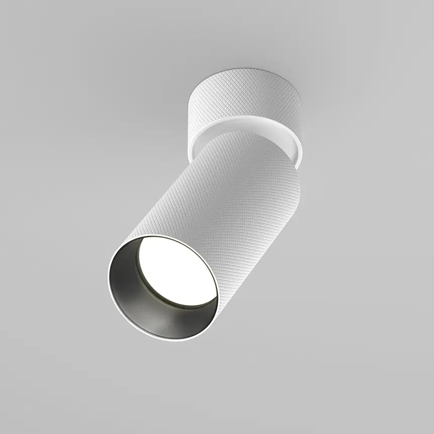 Ceiling Light White Aluminum Finish – Artisan | Maytoni