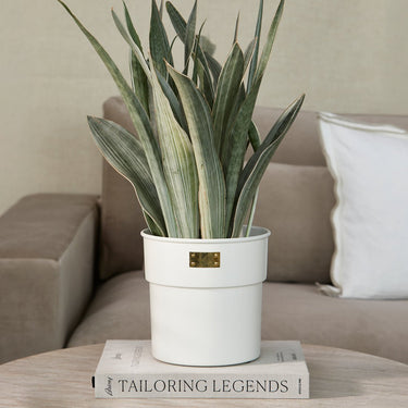 Blumentopf Weißes Keramik mit Goldemblem – City Loft | Rivièra Maison - Esszett Luxury | Stilvolles Wohnen mit Charakter