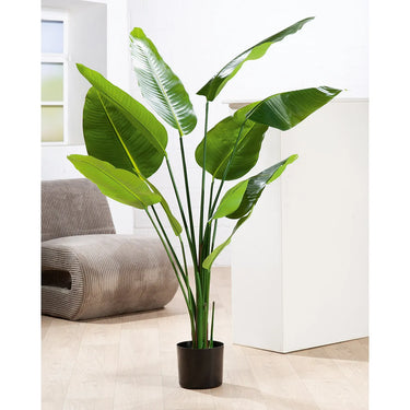 Kunstpflanze – Tropische Blätter, Natürliche Optik, Moderne Form, Höhe 150 cm - Strelitzie | Gilde