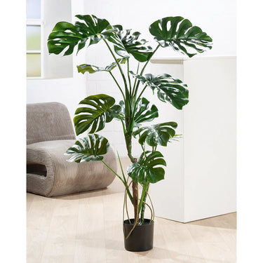 Kunstpflanze – Tropische Blätter, Natürliche Optik, Moderne Form, Höhe 120 cm - Monstera | Gilde