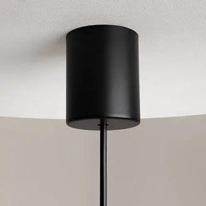 Pendant Light Black Metal Frame with White Glass Shade – The Sixth Sense Z020PL-L6B3K | Maytoni