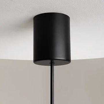 Pendant Light Black Metal Frame with White Glass Shade – The Sixth Sense Z020PL-L6B3K | Maytoni