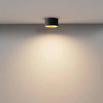 Deckenleuchte – Schwarz-Mattgold, Aluminium Gehäuse, 12 W Leistung - Vega | Maytoni