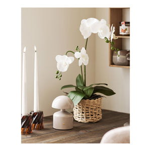 Tischleuchte – Wiederaufladbar, Touch-Schalter, dreistufiges Licht - Aulla | House Nordic