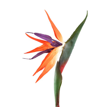 Gartenblume – Orange Paradiesvogelblume Spray, Handgefertigt, Polyestergewebe, Eisen | PTMD
