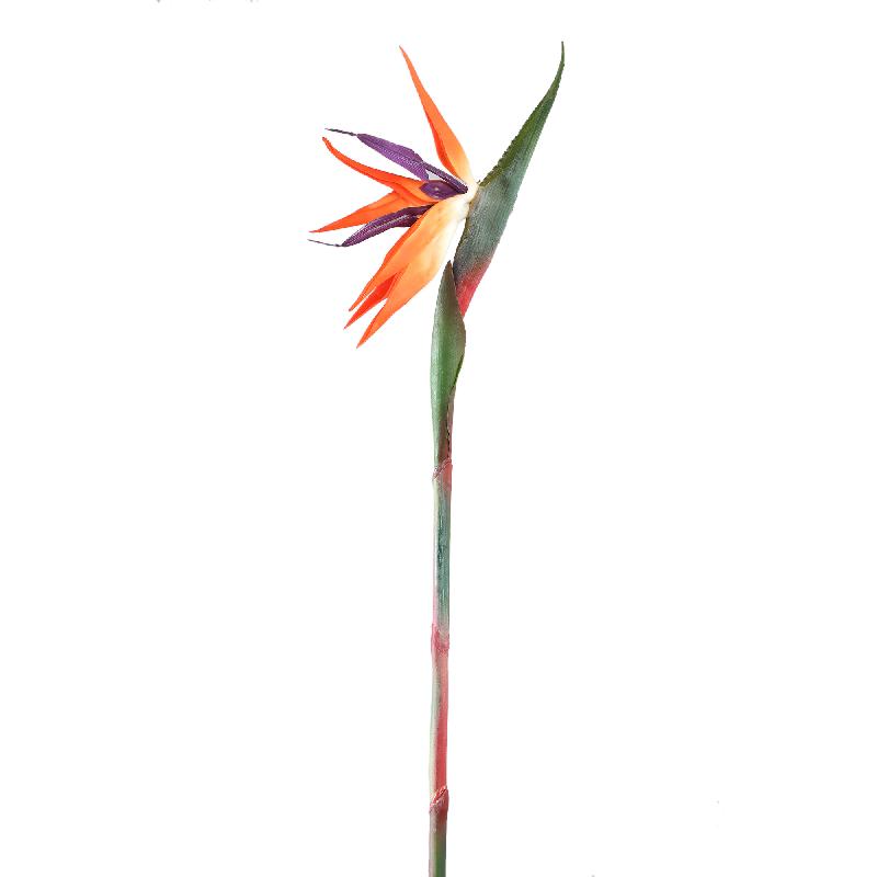 Gartenblume – Orange Paradiesvogelblume Spray, Handgefertigt, Polyestergewebe, Eisen | PTMD