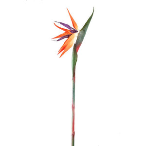 Gartenblume – Orange Paradiesvogelblume Spray, Handgefertigt, Polyestergewebe, Eisen | PTMD