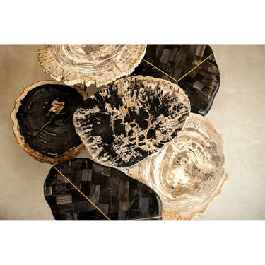 Kaffeetisch aus versteinertem Holz mit Messinggestell & Naturmaserung – New Khine | PTMD - Esszett Luxury | Stilvolles Wohnen mit Charakter