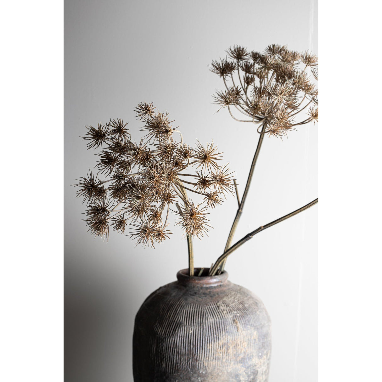 Art Branch - light brown large Mullein