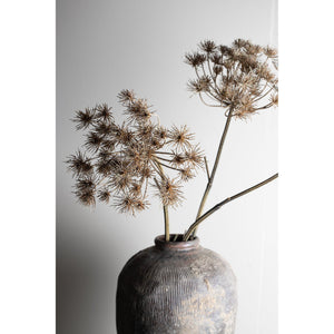Art Branch - light brown large Mullein
