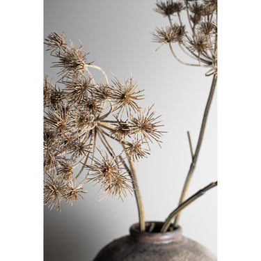 Art Branch - light brown large Mullein