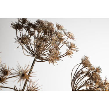 Art Branch - light brown large Mullein