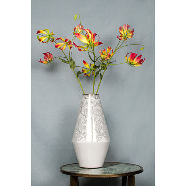 Lilienblume – Rot-Gelbe Gloriosa S | PTMD