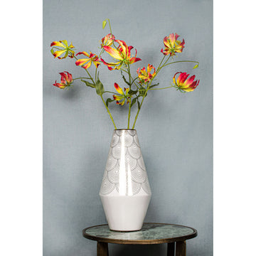 Lilienblume – Rot-Gelbe Gloriosa S | PTMD