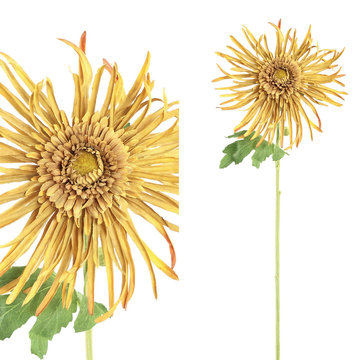 künstliche blume Chrysanthemen - Spray mit fein gearbeiteten Knospen und dekorativem Blattwerk – Garden Flower | PTMD - Esszett Luxury | Stilvolles Wohnen mit Charakter