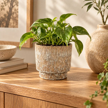 Topf aus Terrakotta-Keramik mit glatter Oberfläche, kompakter Form und modernem Design – Xiomar | PTMD