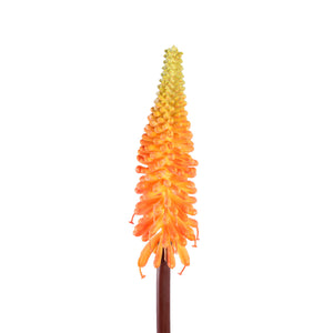 Gartenblume - Orange Tritoma, Handgefertigt, Polyester, Kunststoff | PTMD