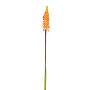 Gartenblume - Orange Tritoma, Handgefertigt, Polyester, Kunststoff | PTMD