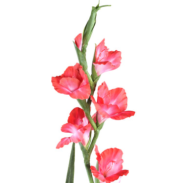 künstliche blume Gladiolus mit strukturiertem Blattwerk und dekorativer langlebiger Ausführung – Garden Flower | PTMD - Esszett Luxury | Stilvolles Wohnen mit Charakter