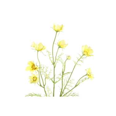 künstliche blume Cosmos mit detailreichen Knospen und dekorativer handgearbeiteter Ausführung – Garden Flower | PTMD - Esszett Luxury | Stilvolles Wohnen mit Charakter