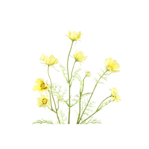künstliche blume Cosmos mit detailreichen Knospen und dekorativer handgearbeiteter Ausführung – Garden Flower | PTMD - Esszett Luxury | Stilvolles Wohnen mit Charakter