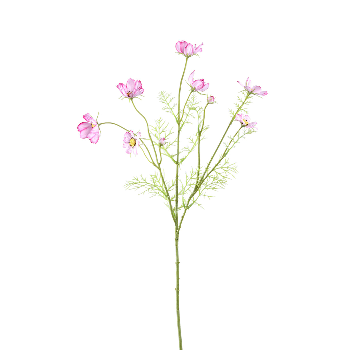 künstliche blume Cosmos mit filigranen Knospen und dekorativer handgearbeiteter Ausführung – Garden Flower | PTMD - Esszett Luxury | Stilvolles Wohnen mit Charakter