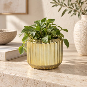 Ceramic pot with fluted design, decorative and high-quality – Collette | PTMD