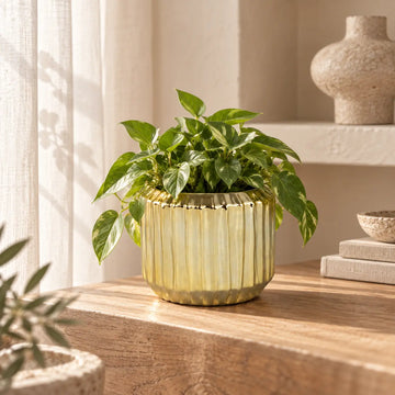 Ceramic pot with fluted design, decorative and high-quality – Collette | PTMD