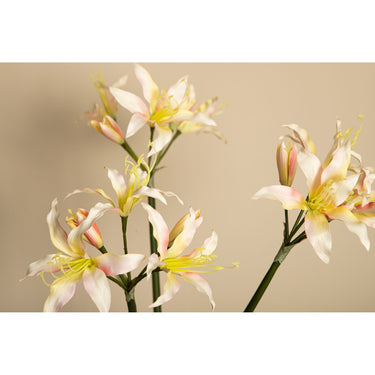 Amaryllisblume – Cremefarbene Amaryllis Spray, Polyestergewebe, Eisenmetall | PTMD