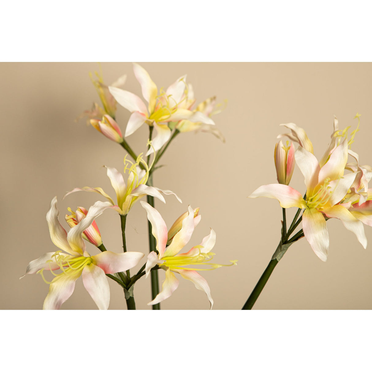 Amaryllisblume – Cremefarbene Amaryllis Spray, Polyestergewebe, Eisenmetall | PTMD