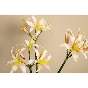Amaryllisblume – Cremefarbene Amaryllis Spray, Polyestergewebe, Eisenmetall | PTMD