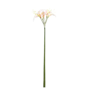 Amaryllisblume – Cremefarbene Amaryllis Spray, Polyestergewebe, Eisenmetall | PTMD