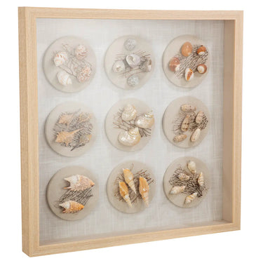 Wandbild – Muschelmotiv, Strukturierte Oberfläche, Natürliche Farbwelt, 60 cm - Beachhouse | Gilde