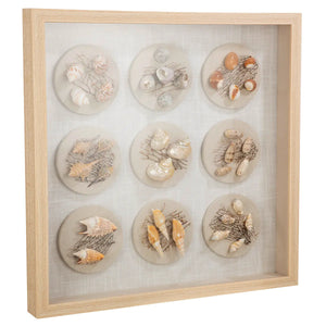 Wandbild – Muschelmotiv, Strukturierte Oberfläche, Natürliche Farbwelt, 60 cm - Beachhouse | Gilde