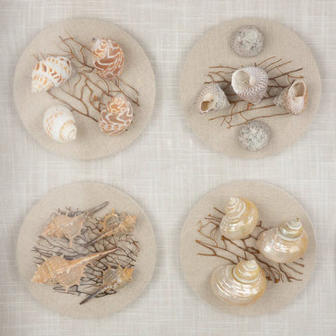 Wandbild – Muschelmotiv, Strukturierte Oberfläche, Natürliche Farbwelt, 60 cm - Beachhouse | Gilde