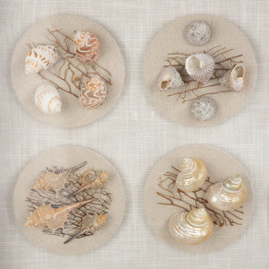 Wandbild – Muschelmotiv, Strukturierte Oberfläche, Natürliche Farbwelt, 60 cm - Beachhouse | Gilde