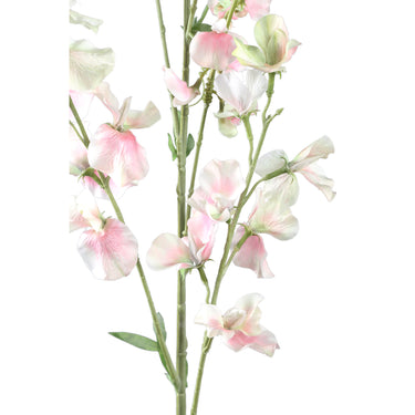 Gartenblume – Cremefarbener Duftwicken-Zweig aus Polyester | PTMD