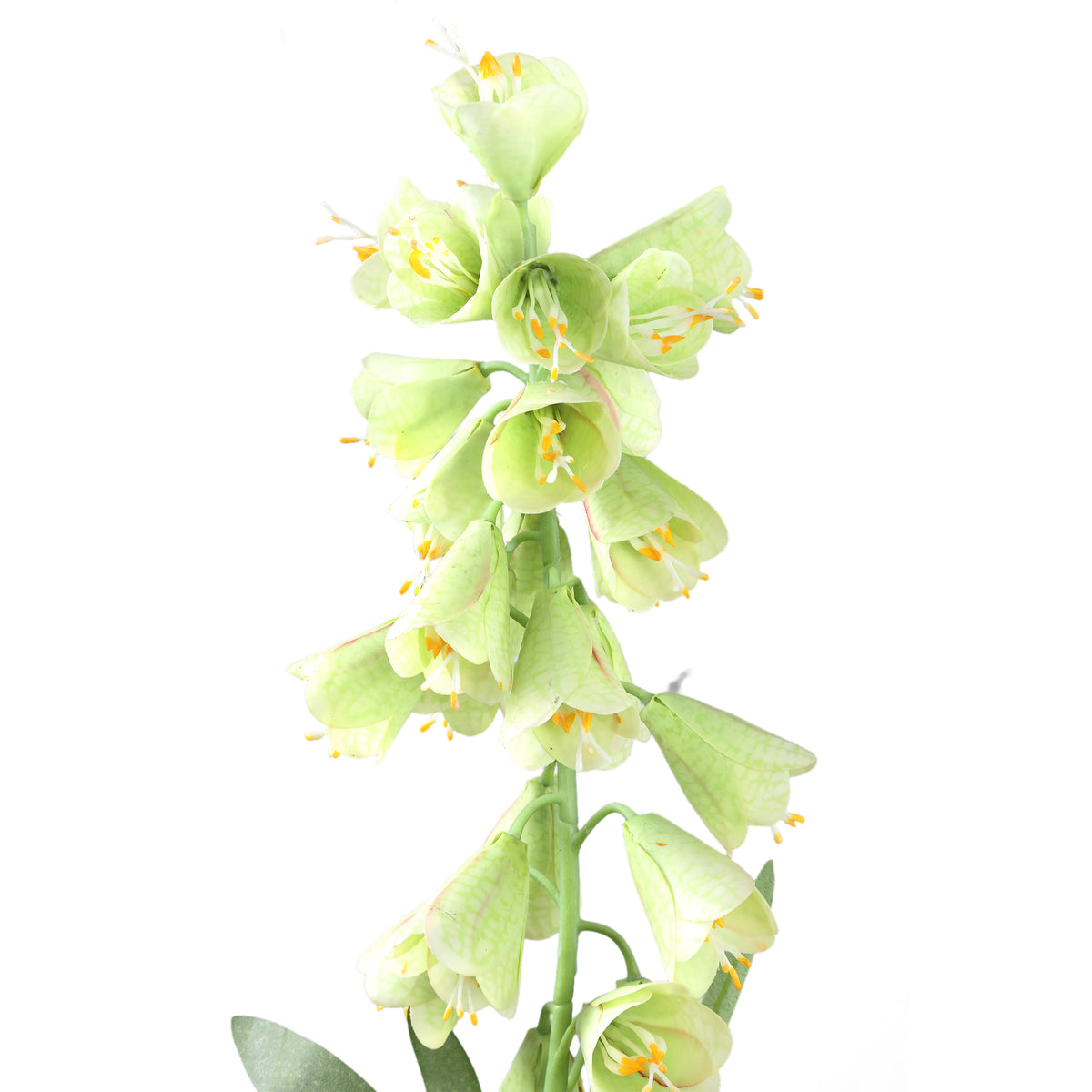 Gartenblume – Grün Fritillaria-Blütenzweig mit Blättern aus Polyesterstoff | PTMD