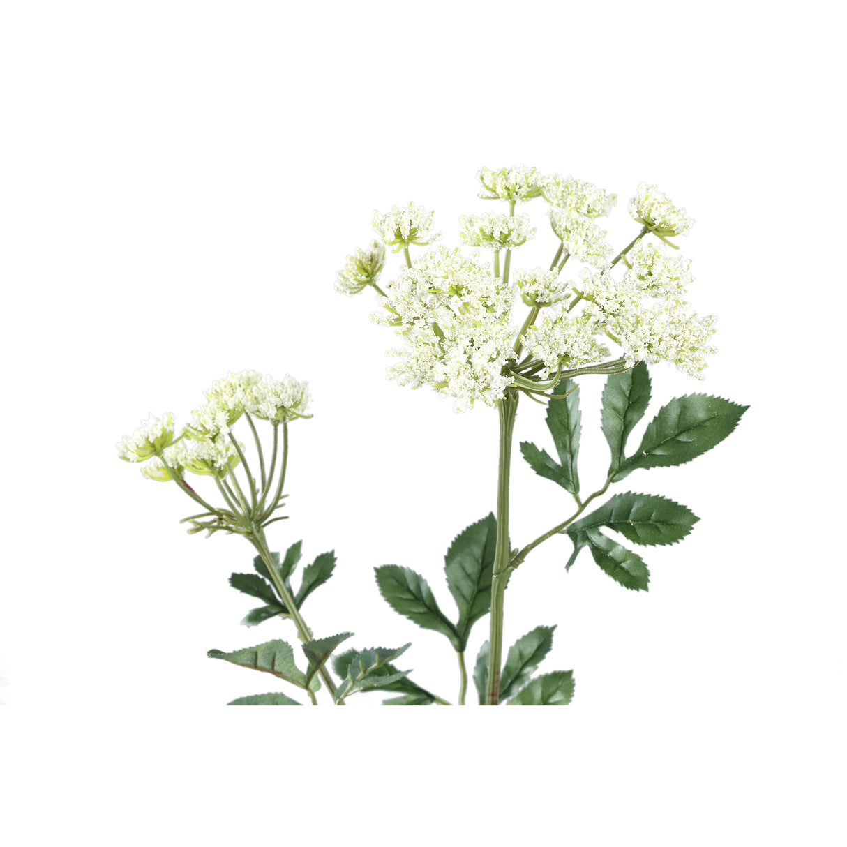 Gartenblume – Grünes Nebel-Spray aus Weißem Ammi, Polyestergewebe, Handgefertigt | PTMD