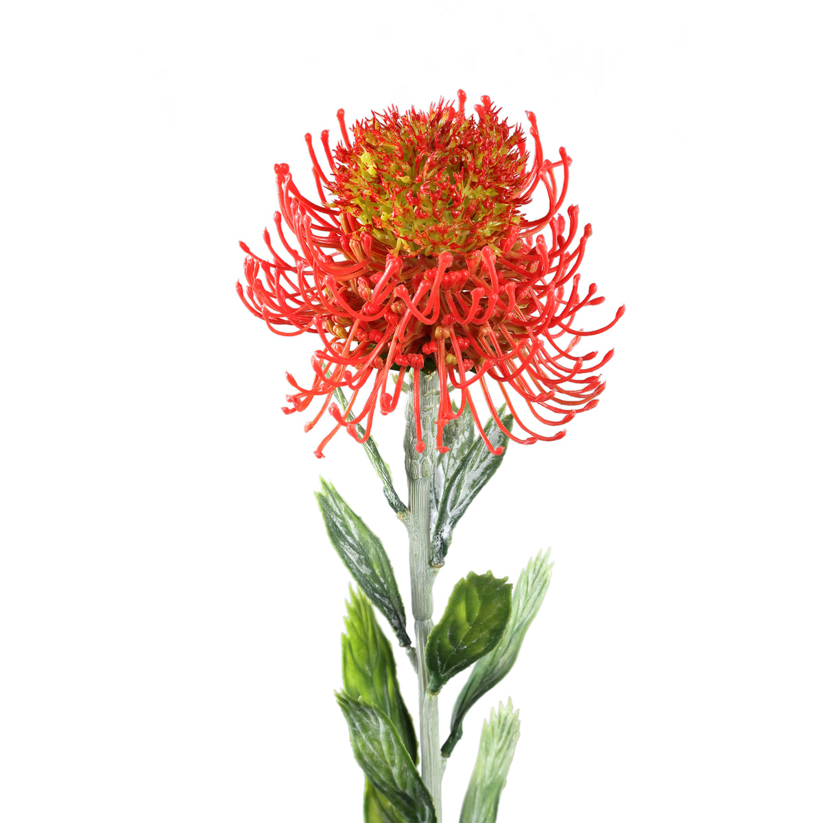 Zweigpflanze – Roter Protea-Zweig mit Blättern aus Polyester | PTMD