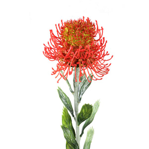 Zweigpflanze – Roter Protea-Zweig mit Blättern aus Polyester | PTMD